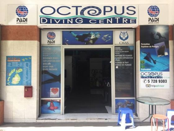 Octoshop_resize