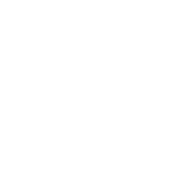 diver