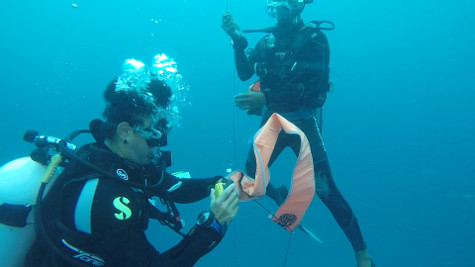 open water1